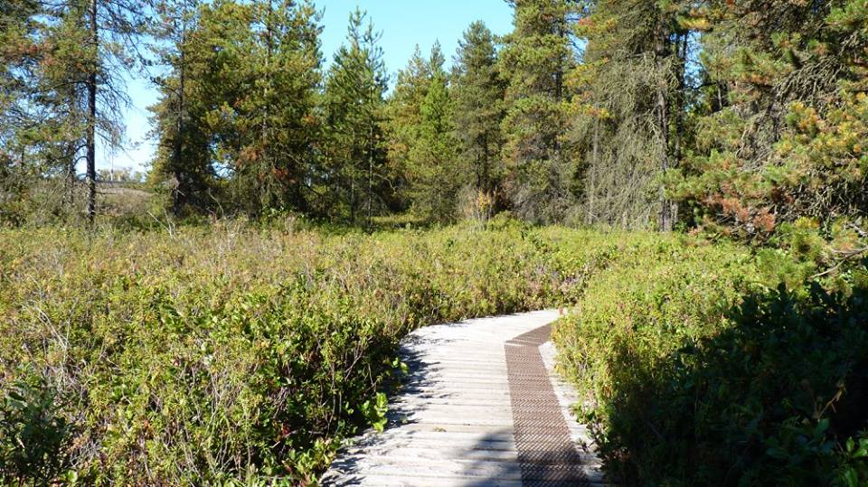 Burns Bog Delta Nature Reserve | Nordel Ct, Delta, BC V4G 1J7, Canada | Phone: (604) 572-0373