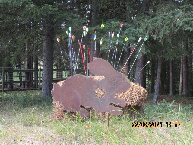 Dragonflight Archery | Range Rd 55, Cremona, AB T0M 0R0, Canada | Phone: (403) 637-0266