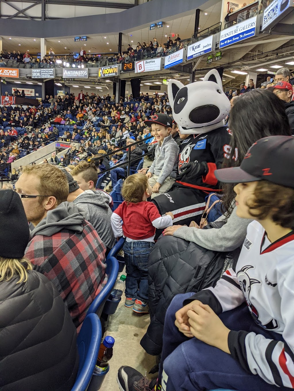 Niagara IceDogs | 1 David S. Howes Way, St. Catharines, ON L2R 0B3, Canada | Phone: (905) 687-3641