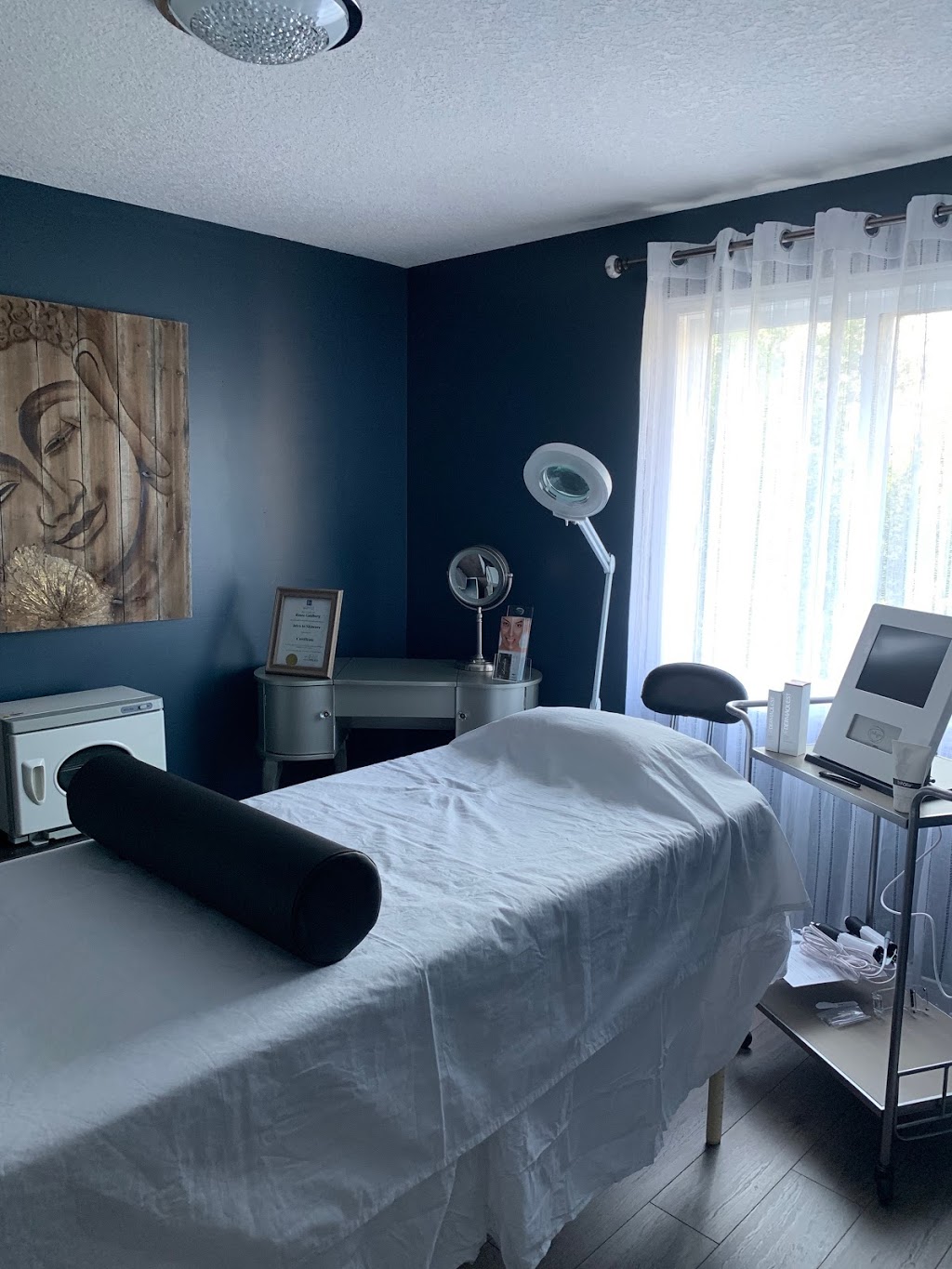 Lucidum Spa | 36 Essa Rd, Alliston, ON L9R 2C8, Canada | Phone: (416) 419-5302