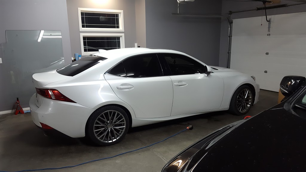 DS Tint | 2 Eagleview Bay, Winkler, MB R6W 0A8, Canada | Phone: (204) 362-9538