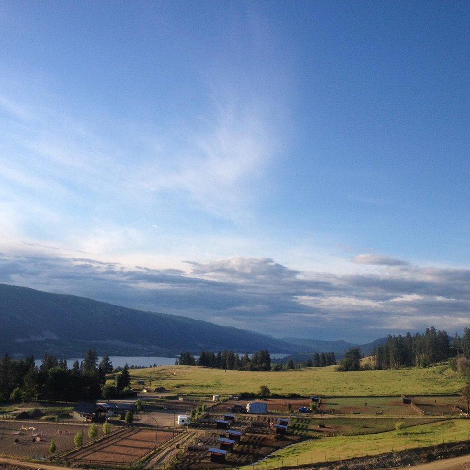 Bridlewood Riding Centre | 4525 Hebbert Rd, Lake Country, BC V4V 2A8, Canada | Phone: (250) 548-3510