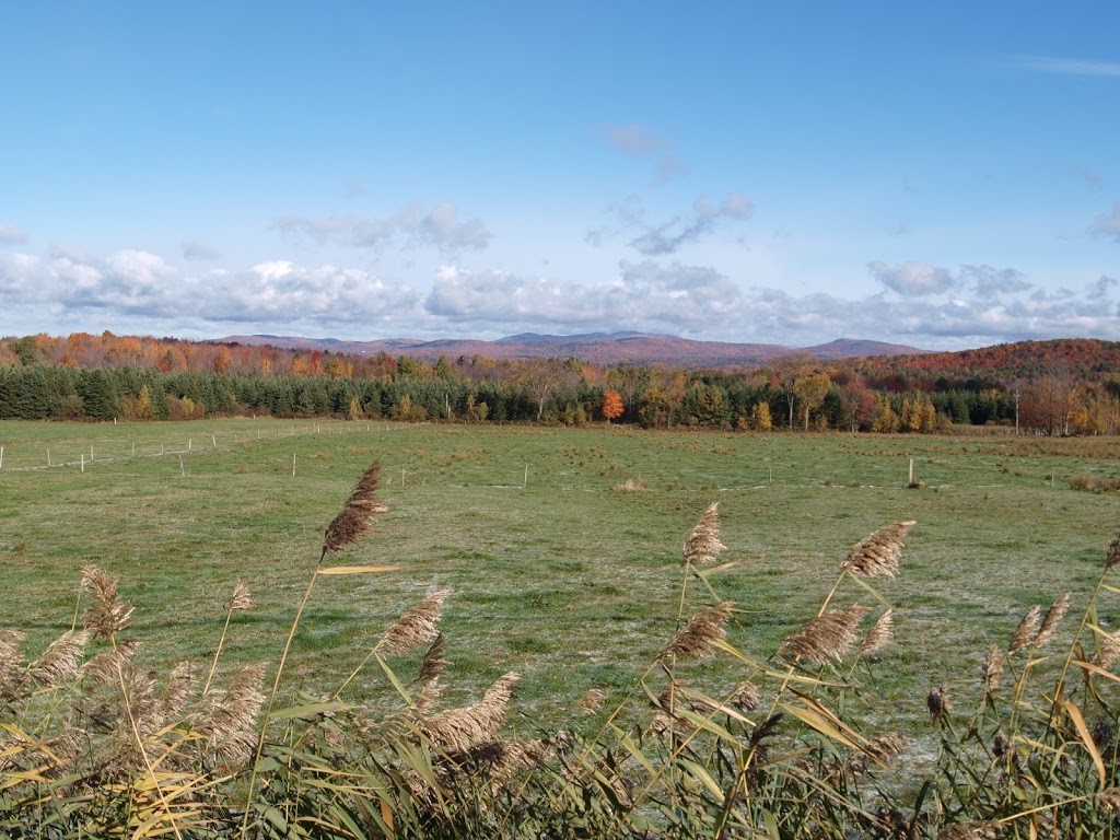 Gerard Champigny Peintre Enr | Chemin Champigny, Sutton, QC J0E 2K0, Canada | Phone: (450) 538-2622