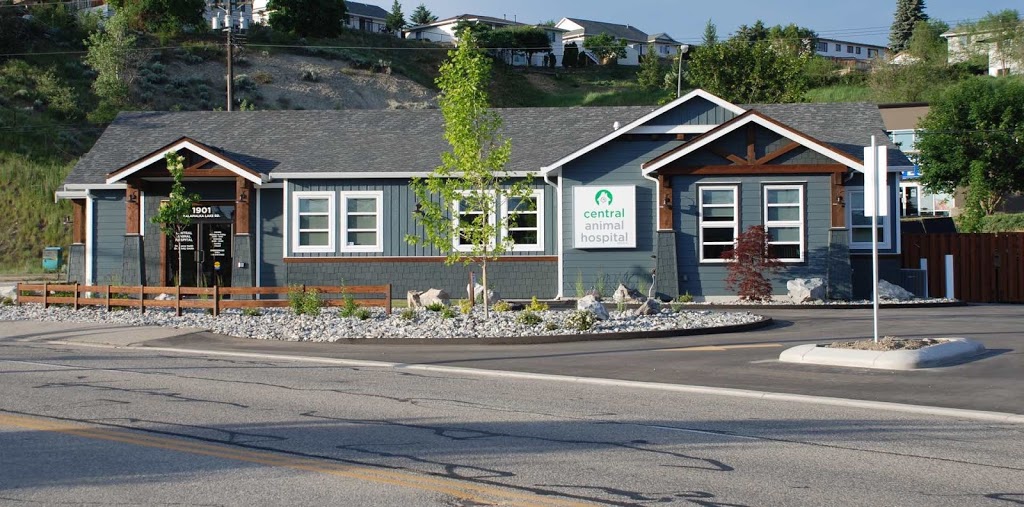 Central Animal Hospital | 1901 Kalamalka Lake Rd, Vernon, BC V1T 6V5, Canada | Phone: (250) 549-0402