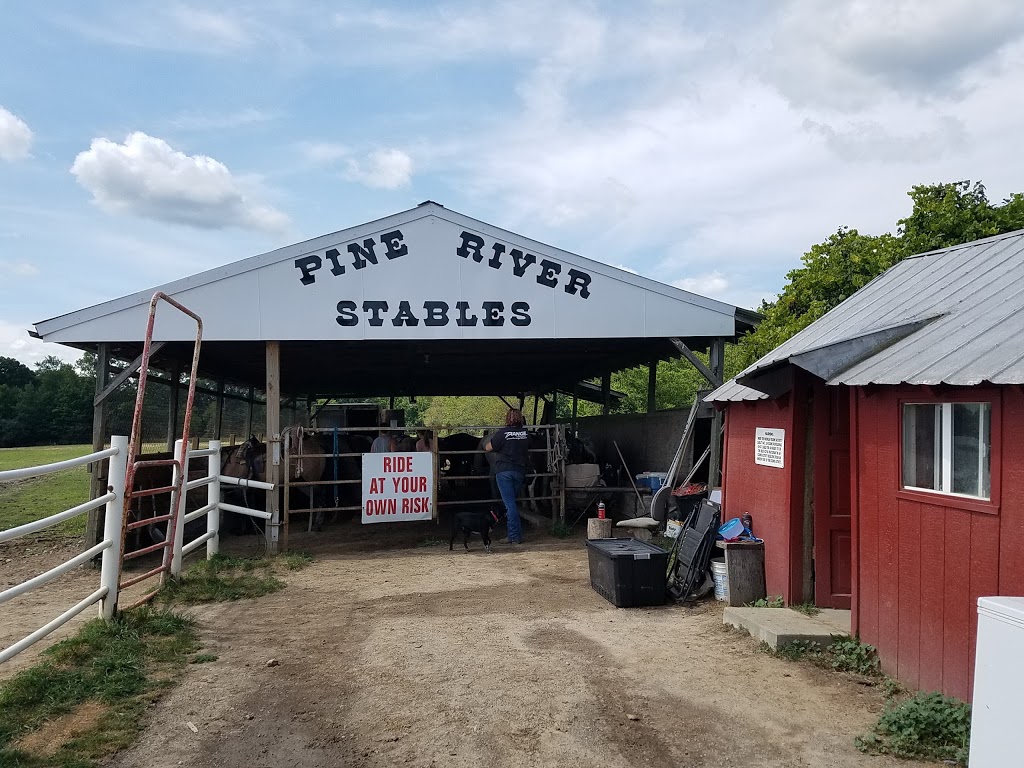 Pine River Stables | 1200 Stein Rd, St Clair, MI 48079, USA | Phone: (586) 894-2756