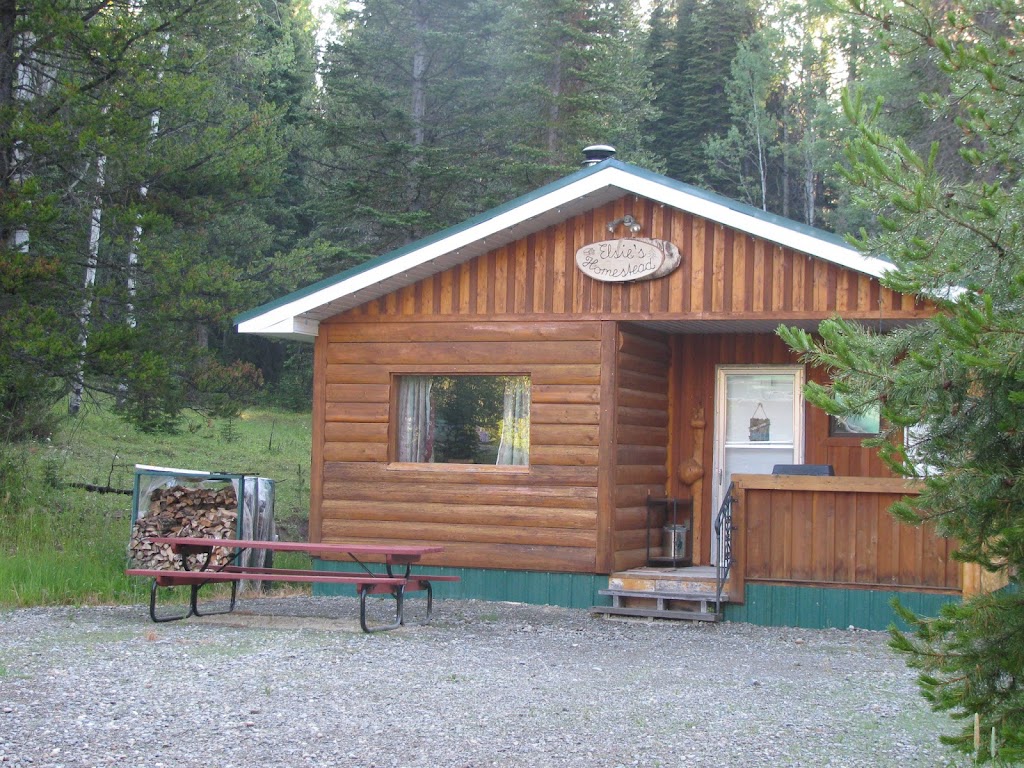 Noke Creek Lodge & Campground | 9100 Moyie River Road, Cranbrook, BC V1C 6X2, Canada | Phone: (780) 801-1632