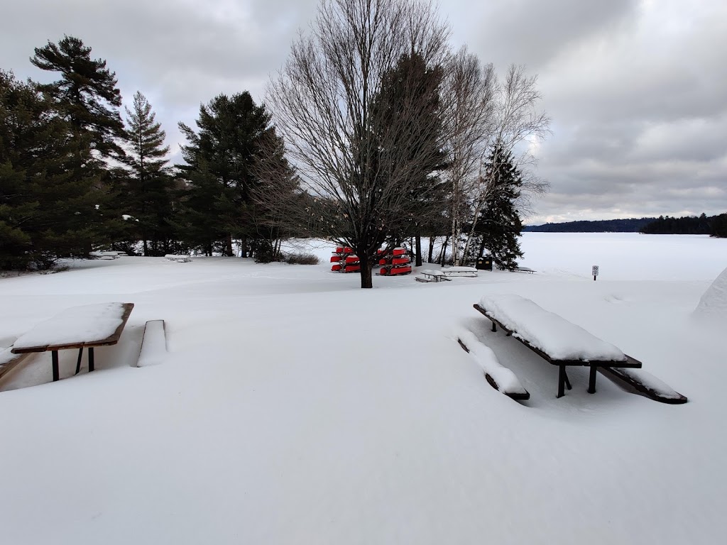 Silent Lake Provincial Park | 1589 Silent Lake Park Road, Bancroft, ON K0L 1C0, Canada | Phone: (613) 339-2807