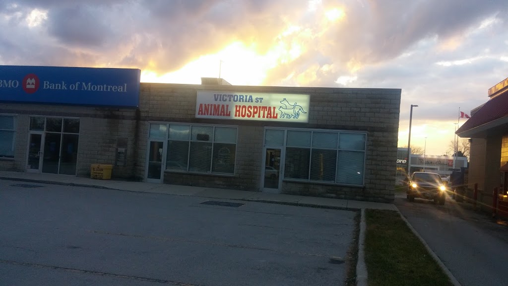 Victoria Street Animal Hospital | 634 Victoria St, Strathroy, ON N7G 3C1, Canada | Phone: (519) 245-0786