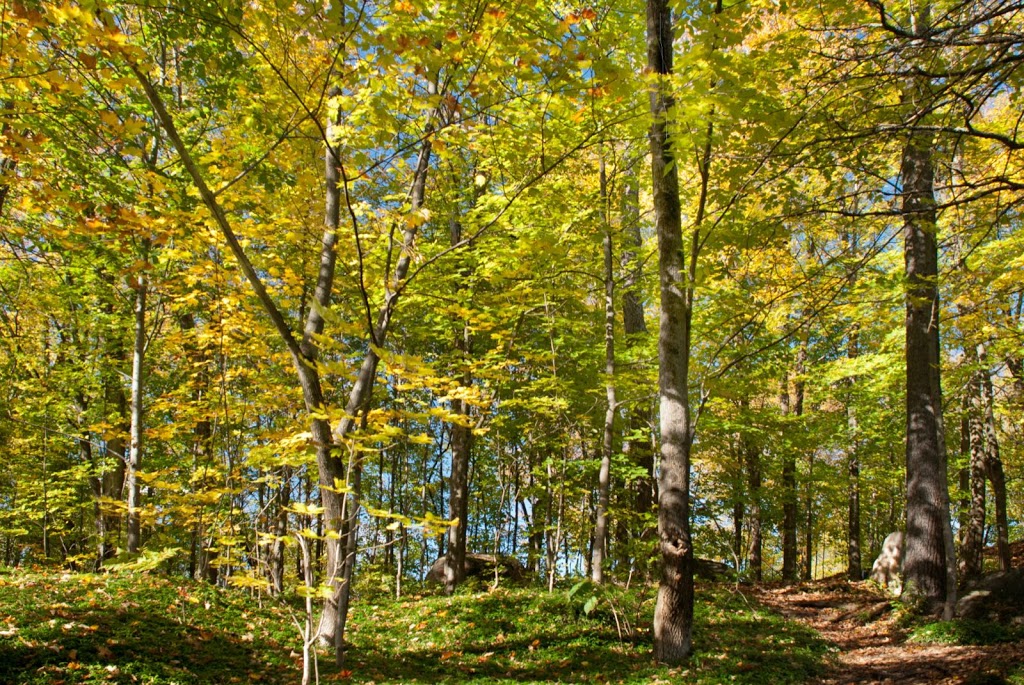 Parc du boisé des chutes | Village Des Hurons Wendake Indian Reserve No. 7, La Haute-Saint-Charles, QC G2B 2T9, Canada