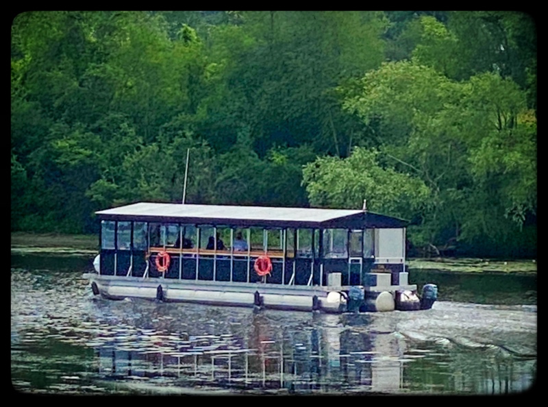 Napanee River Tours | 22 Water St W, Napanee, ON K7R 1V4, Canada | Phone: (613) 354-2053