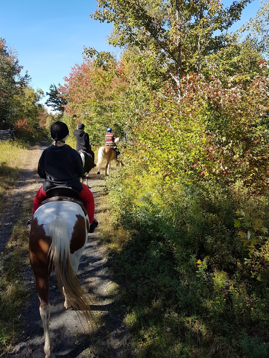 Serenity Acres Family Ranch | 7321 Nova Scotia Trunk 1, Ellershouse, NS B0N 1L0, Canada | Phone: (902) 791-1215