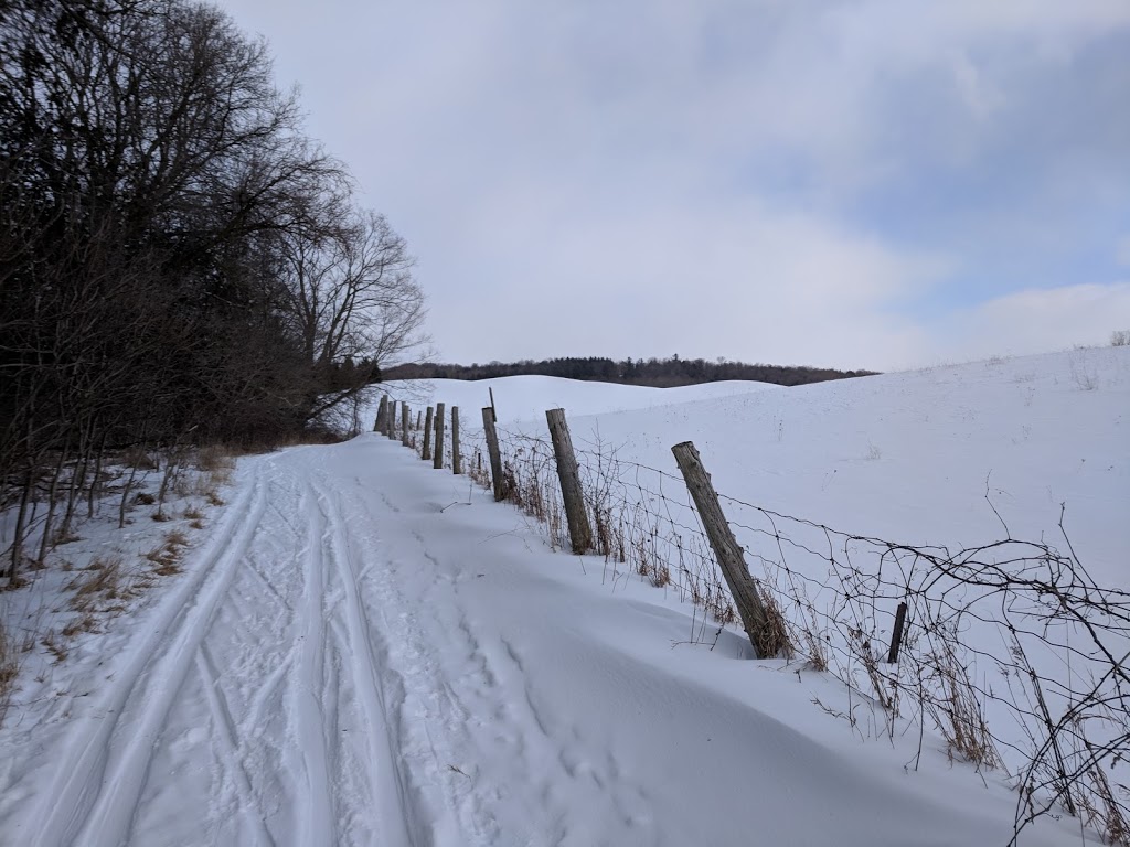 Avens Park | Waterloo, ON N2J 3Z4, Canada