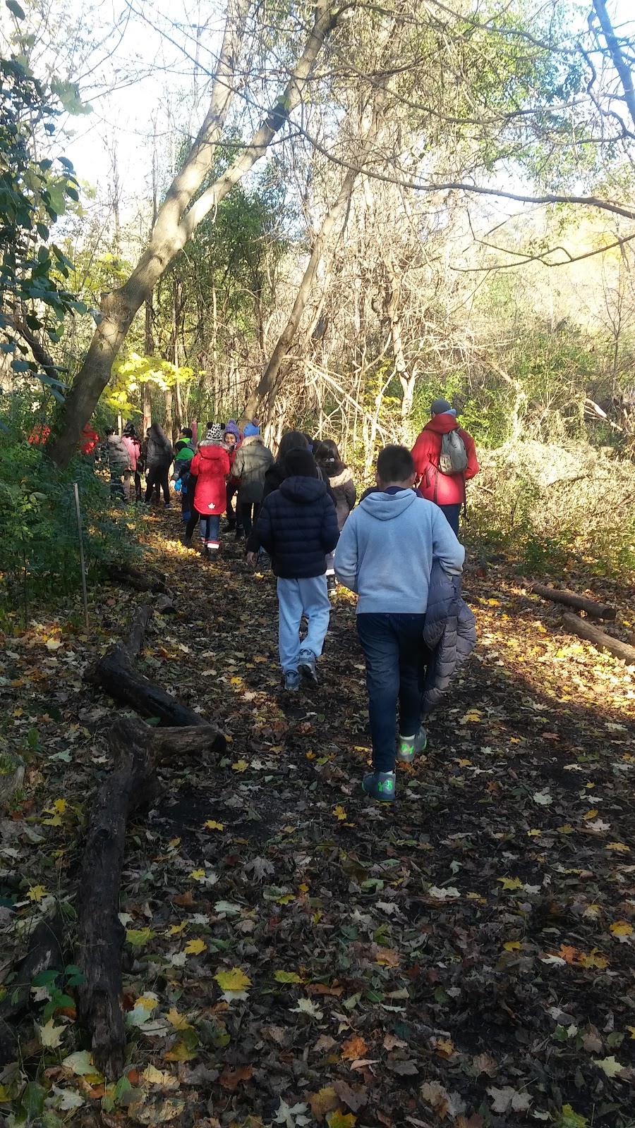 Forest Valley Outdoor Education Centre | North York, ON M3H 4W5, Canada | Phone: (416) 395-5110