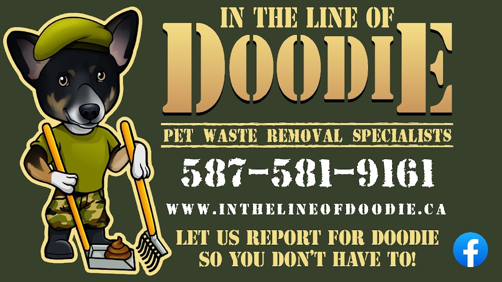 In the Line of Doodie | 3207 Kenmare Crescent SW, Calgary, AB T3E 4R4, Canada | Phone: (587) 581-9161