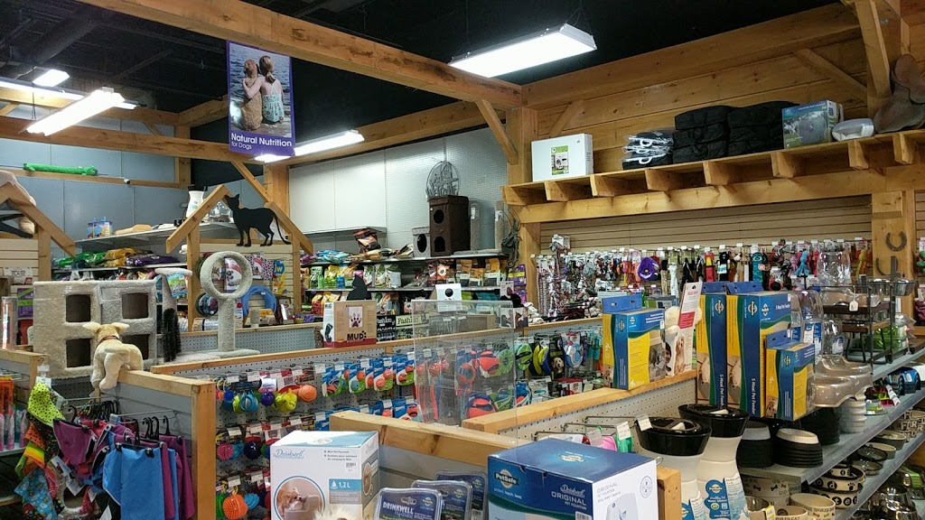 Dreamland Pet and Equine | 6484 Wellington Rd 7 3 & 4, Elora, ON N0B 1S0, Canada | Phone: (519) 846-1313