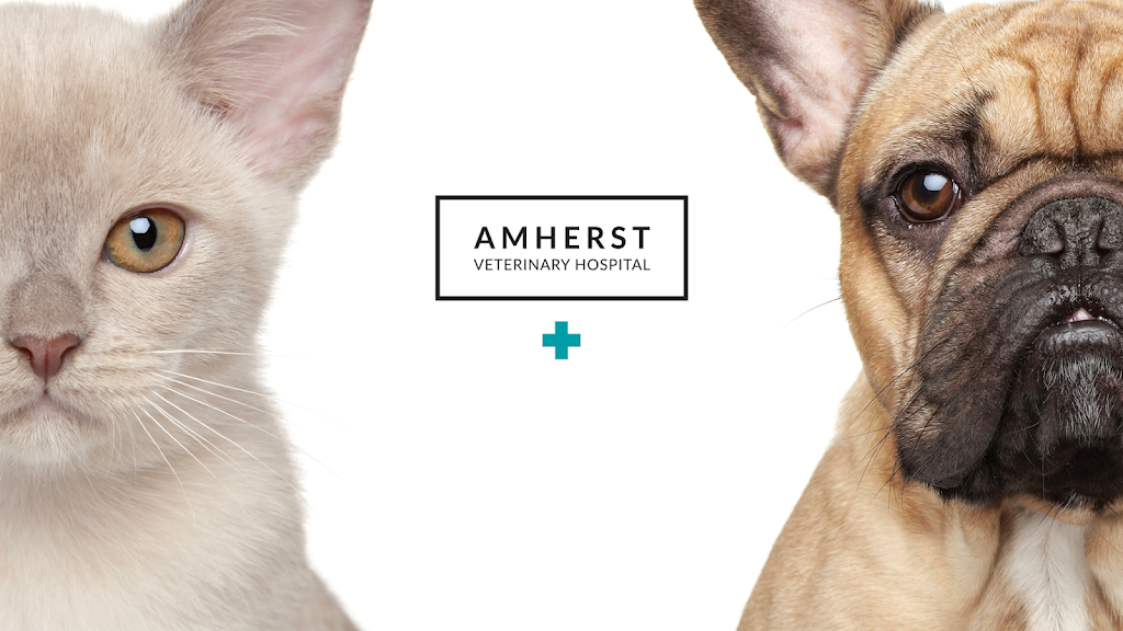 Amherst Veterinary Hospital | 260-2083 Alma St, Vancouver, BC V6R 4N6, Canada | Phone: (604) 221-7771