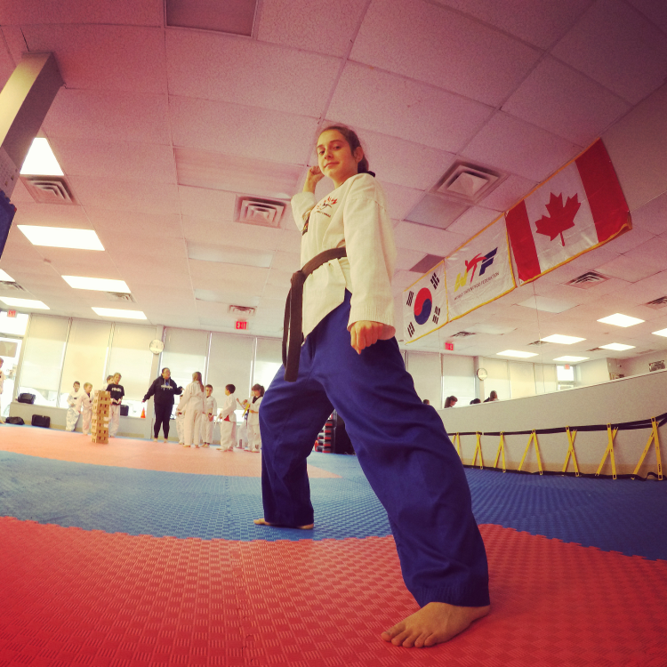 Kick Nation Taekwondo | 68 Main St N #2&3, Georgetown, ON L7G 3H3, Canada | Phone: (905) 877-4343