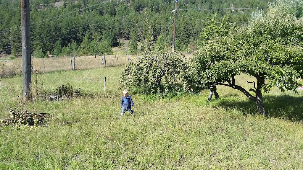 Ziggys Farmhouse @ Labyrinth Farm | 8133 Westsyde Rd, Kamloops, BC V2B 8S1, Canada | Phone: (604) 816-5577