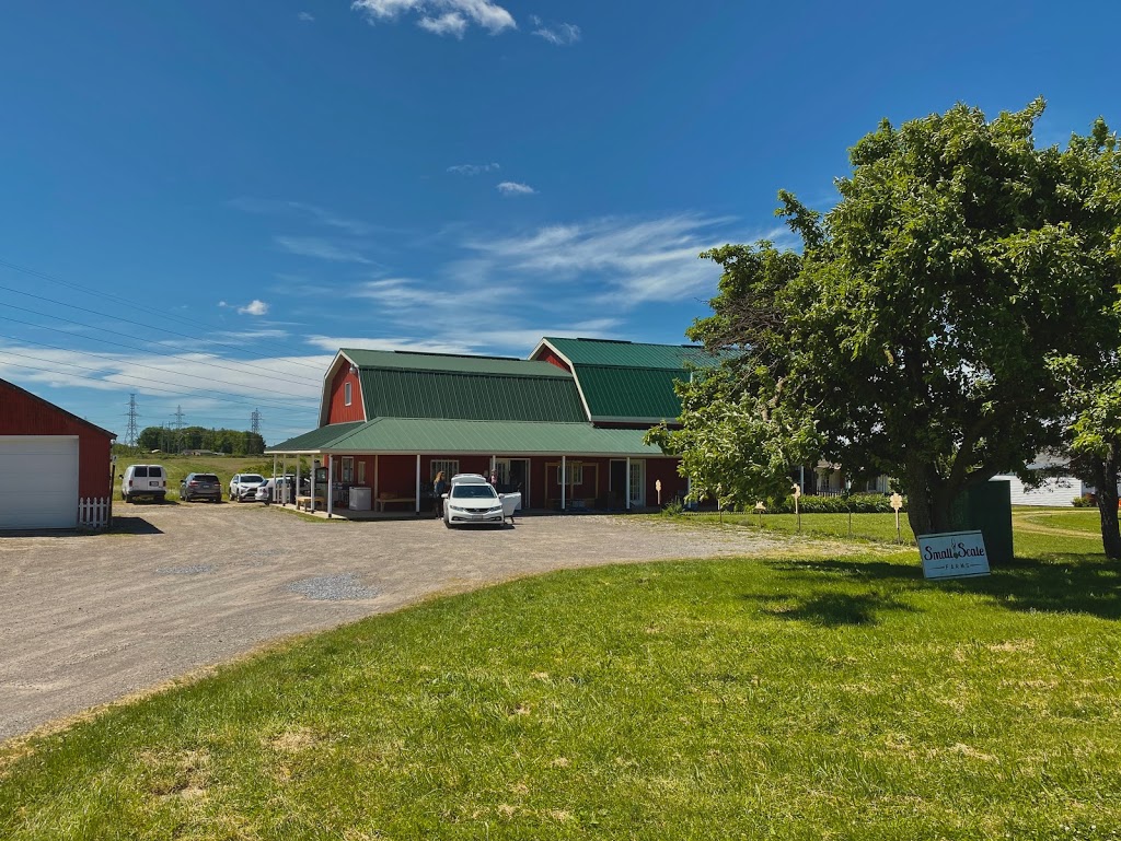 Small Scale Farms | 13145 Lundys Ln, Allanburg, ON L0S 1A0, Canada | Phone: (844) 769-7333