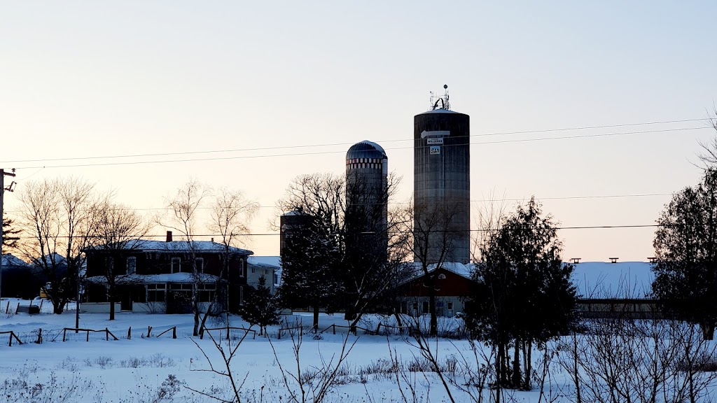 Ferme Willkess | 1681 Chem. Gore, Huntingdon, QC J0S 1H0, Canada | Phone: (450) 802-4040