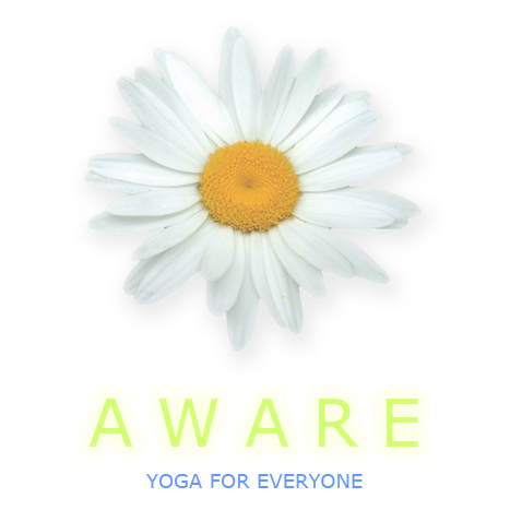 Aware Yoga | 279 Henry Rd, Stirling, ON K0K 3E0, Canada | Phone: (613) 395-4977