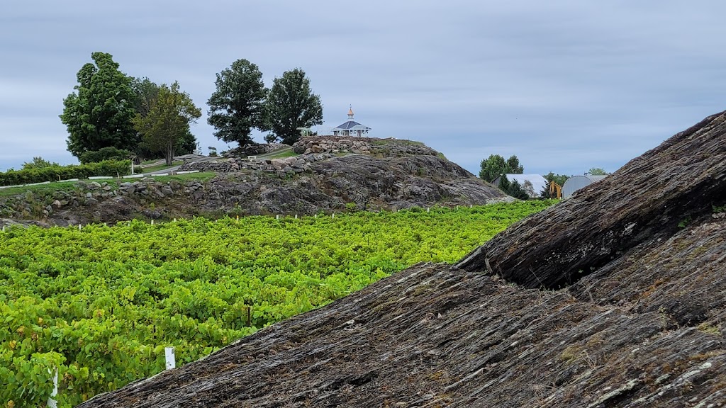 Potter Settlement Vineyards and Artisan Winery | 1445 Potter Settlement Rd, Tweed, ON K0K 3J0, Canada | Phone: (613) 478-1478