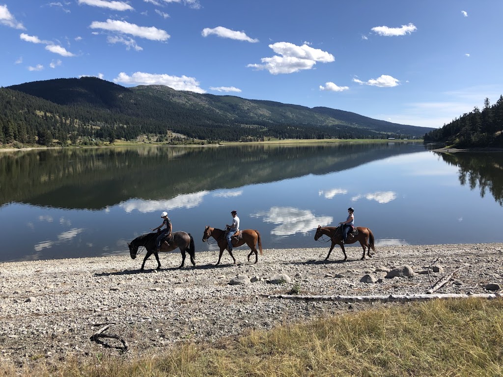 Inspire horsemanship | 9611 BC-97C, Merritt, BC V1K 1M6, Canada | Phone: (250) 574-1498