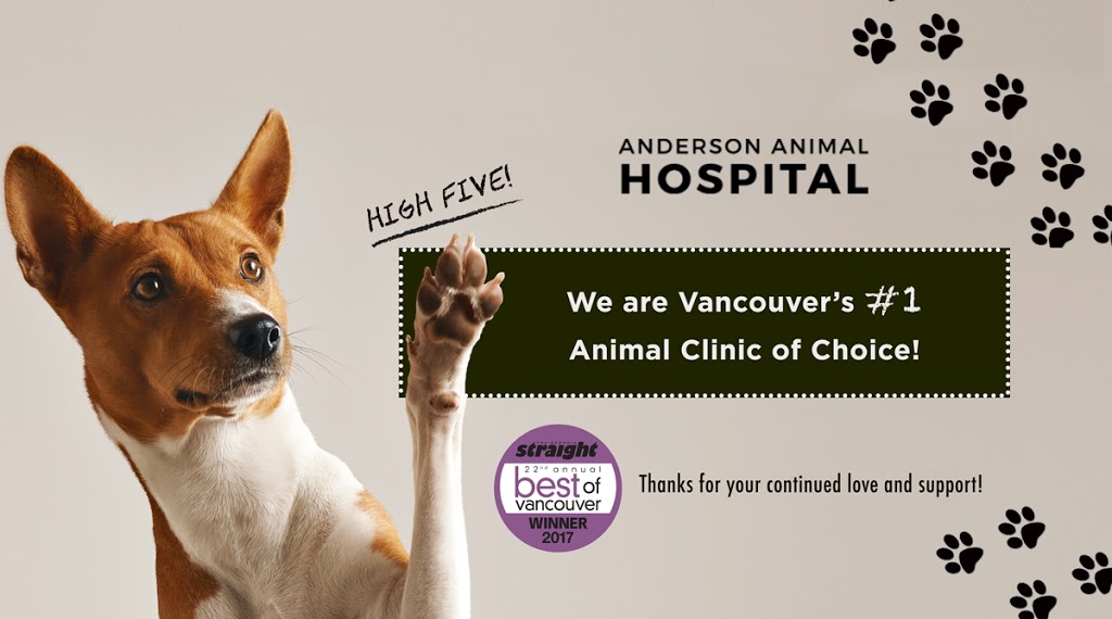 Anderson Animal Hospital | 8465 Granville St, Vancouver, BC V6P 4Z9, Canada | Phone: (604) 263-6767