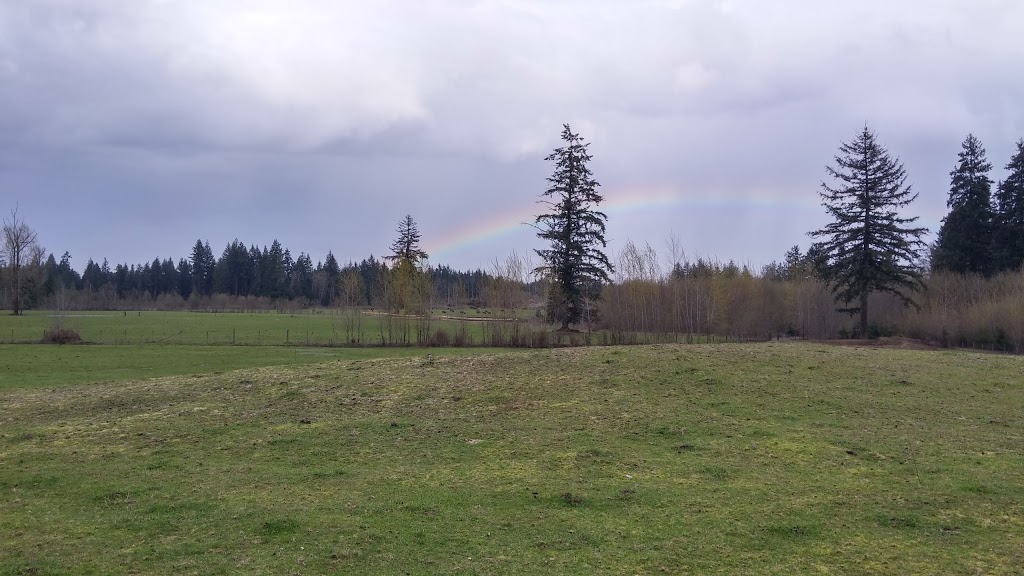 Morning Star Bison Ranch. Ranch Tours. Meat Sales | 965 Spruston Rd, Nanaimo, BC V9X 1S9, Canada | Phone: (250) 713-3111