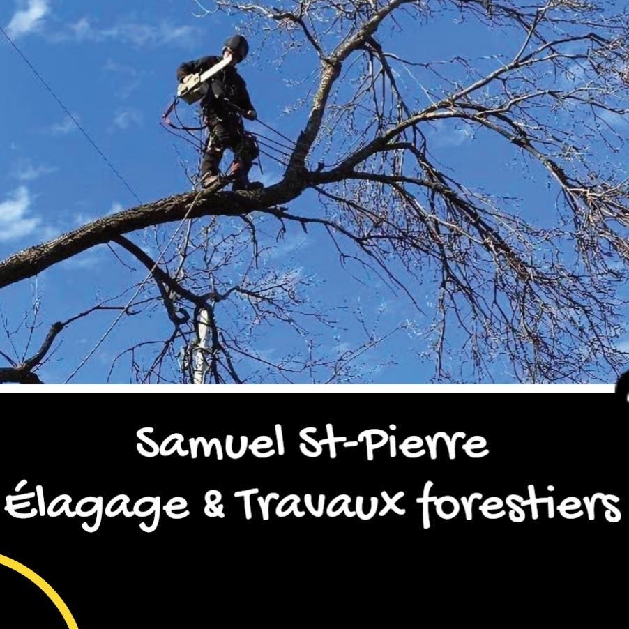 Samuel St-Pierre Élagage & Travaux Forestiers | 11 Rue du Ruisseau, Saint-Aubert, QC G0R 2R0, Canada | Phone: (418) 252-0396