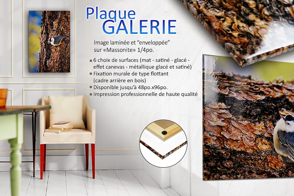 Graphic Pixelab | 1305 Rue Marie-Victorin, Saint-Bruno-de-Montarville, QC J3V 6B7, Canada | Phone: (450) 461-3330