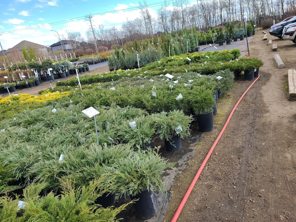 Sunstar Nurseries Ltd. | 810 167 Ave NE, Edmonton, AB T5Y 6K9, Canada | Phone: (780) 472-6103