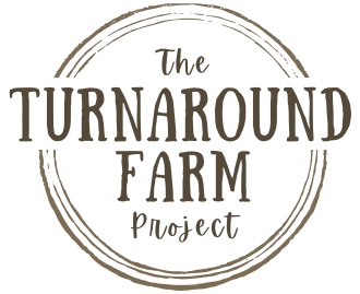 Turnaround Farm | 145059 Side Rd 16, Meaford, ON N4L 1W5, Canada | Phone: (519) 378-8969