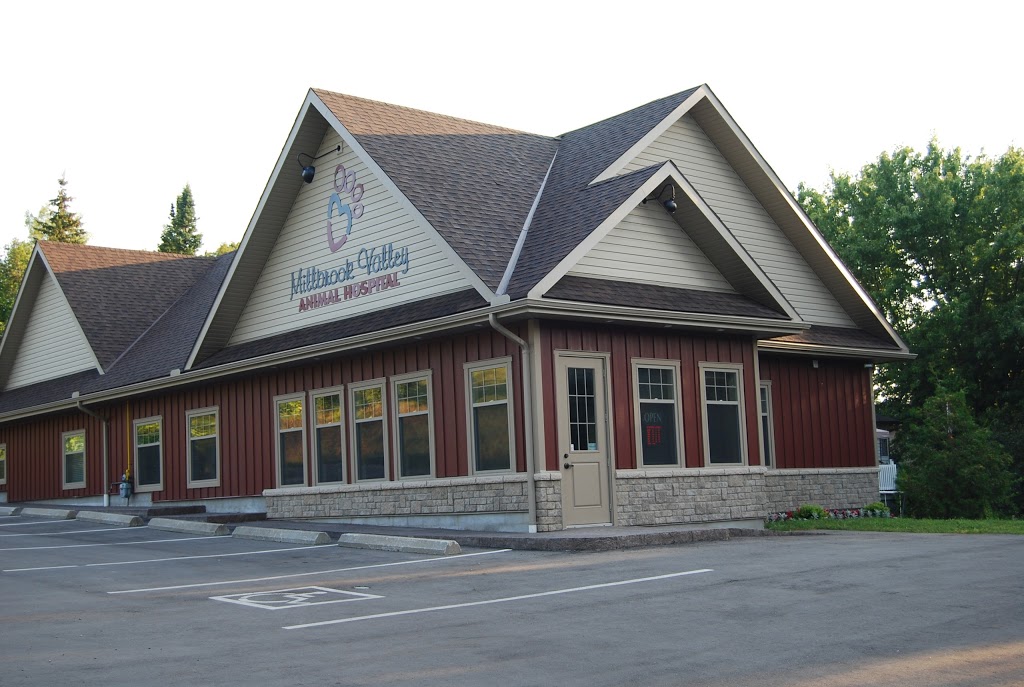 Millbrook Valley Animal Hospital | 3 Queen St, Millbrook, ON L0A 1G0, Canada | Phone: (705) 932-6824