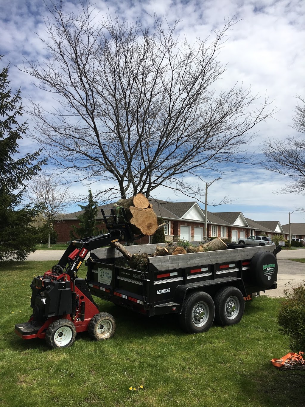 Arbor Borealis tree service | 136 Richardson Dr, Port Dover, ON N0A 1N4, Canada | Phone: (519) 909-9413