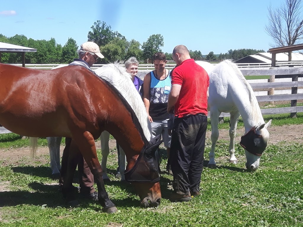 Story Book Meadows Equine Assisted Learning Center & Horse Thera | 8058 Adjala 20 Sideroad, Loretto, ON L0G 1L0, Canada | Phone: (705) 716-7971