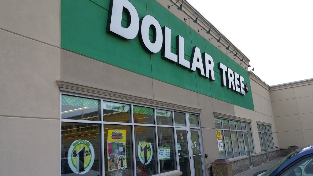 Dollar Tree | 82B King George Rd, Brantford, ON N3R 5K4, Canada | Phone: (519) 751-9981