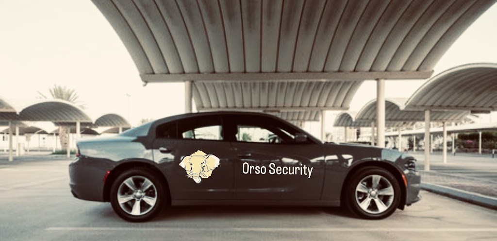 Orso Security Ltd | 15583 98 Ave, Surrey, BC V3R 7G3, Canada | Phone: (604) 613-5542