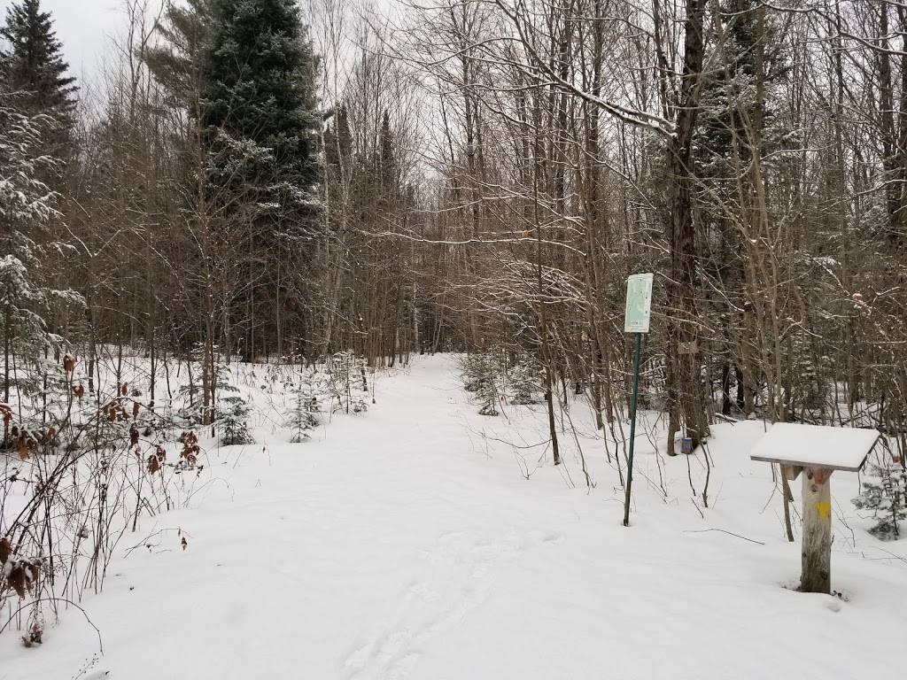 Altberg Wildlife Sanctuary Nature Reserve | Monck Rd, Kawartha Lakes, ON K0M 1K0, Canada | Phone: (800) 440-2366