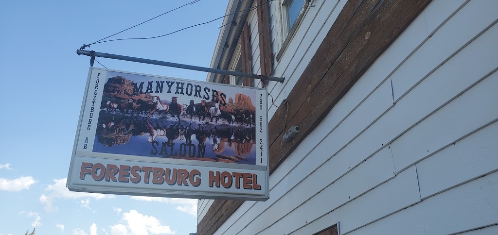 Many Horses Saloon | 5004 50 Ave, Forestburg, AB T0B 1N0, Canada | Phone: (780) 582-2411