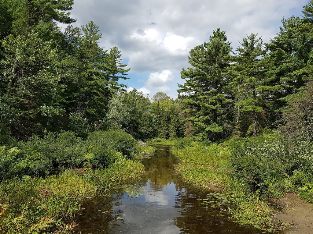 Grundy Lake Provincial Park | ON-522, Unorganized Centre Parry Sound District, ON P0G, Canada | Phone: (705) 383-2286