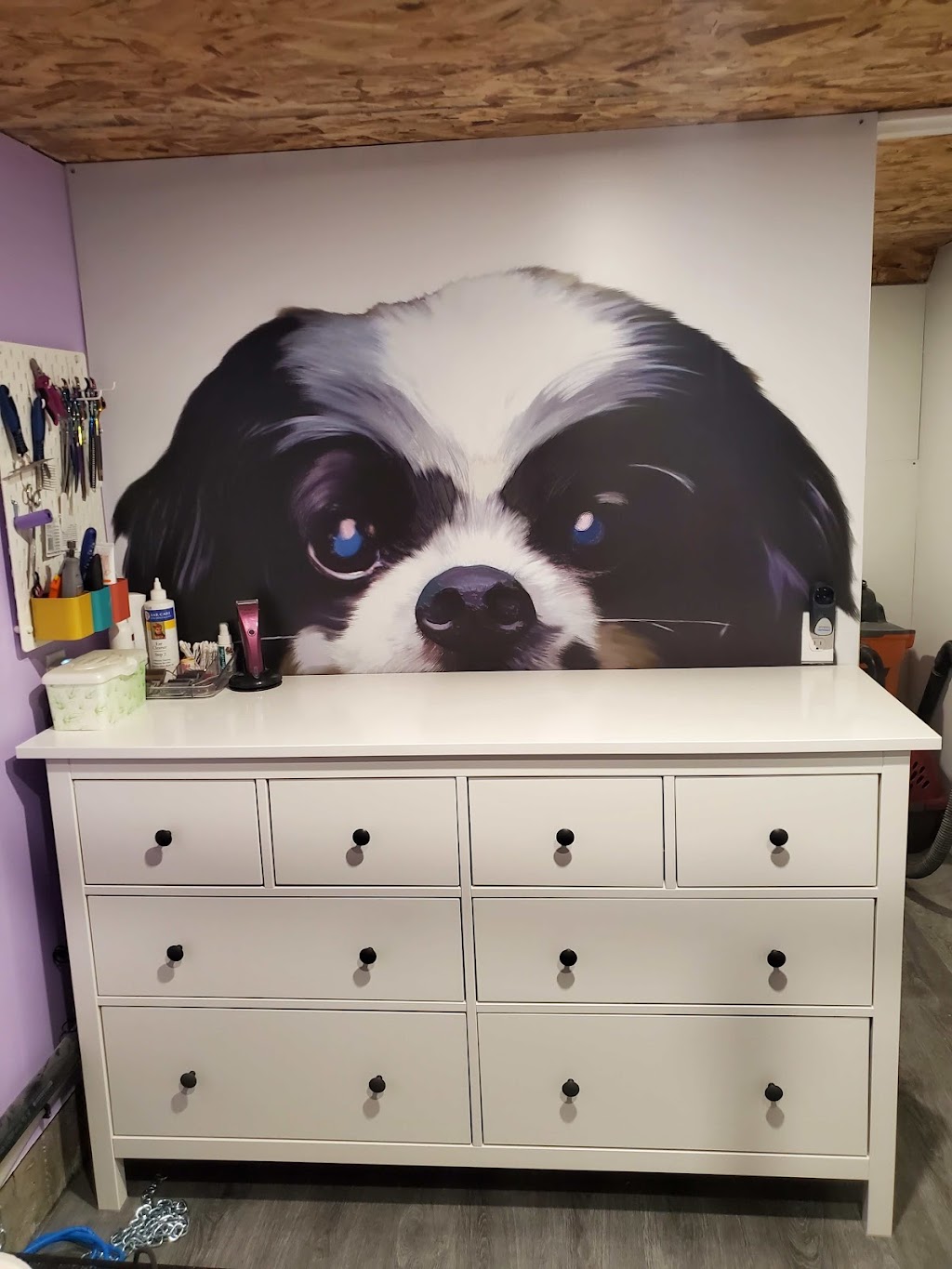 Good Girls Groomers | 69 Prospect Pl, Morinville, AB T8R 1N8, Canada | Phone: (780) 278-2926