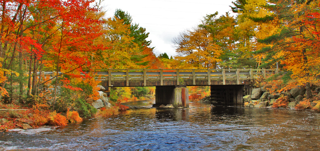 Outdoor Nova Scotia | Shore View Dr, Brooklyn, NS B0J 1H0, Canada | Phone: (902) 354-8582