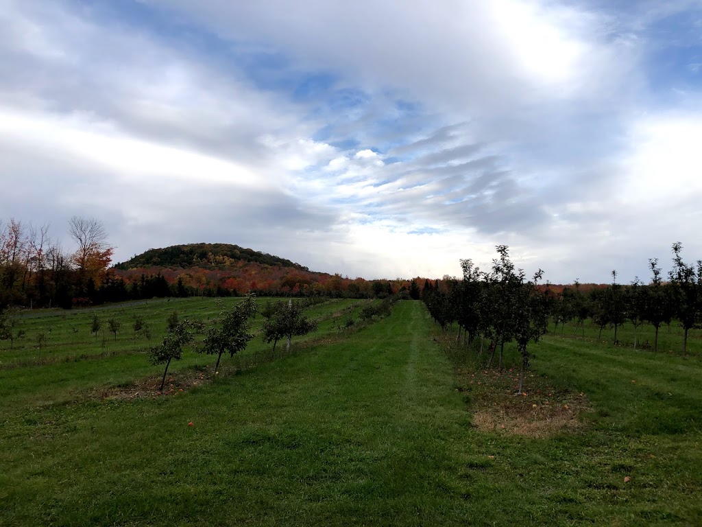 Abbaye Cistercienne Notre-Dame de Nazareth | 471 Rue Principale, Rougemont, QC J0L 1M0, Canada | Phone: (450) 469-2880