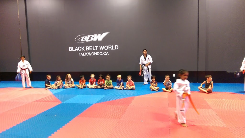 Black Belt World Barrie West | 1 King St #7, Barrie, ON L4N 6B5, Canada | Phone: (705) 722-9991