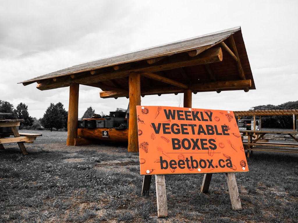 Ferme BeetBox Farm | 230 Davidsons Side Road, Nepean, ON K2K 2Z4, Canada | Phone: (613) 416-9171