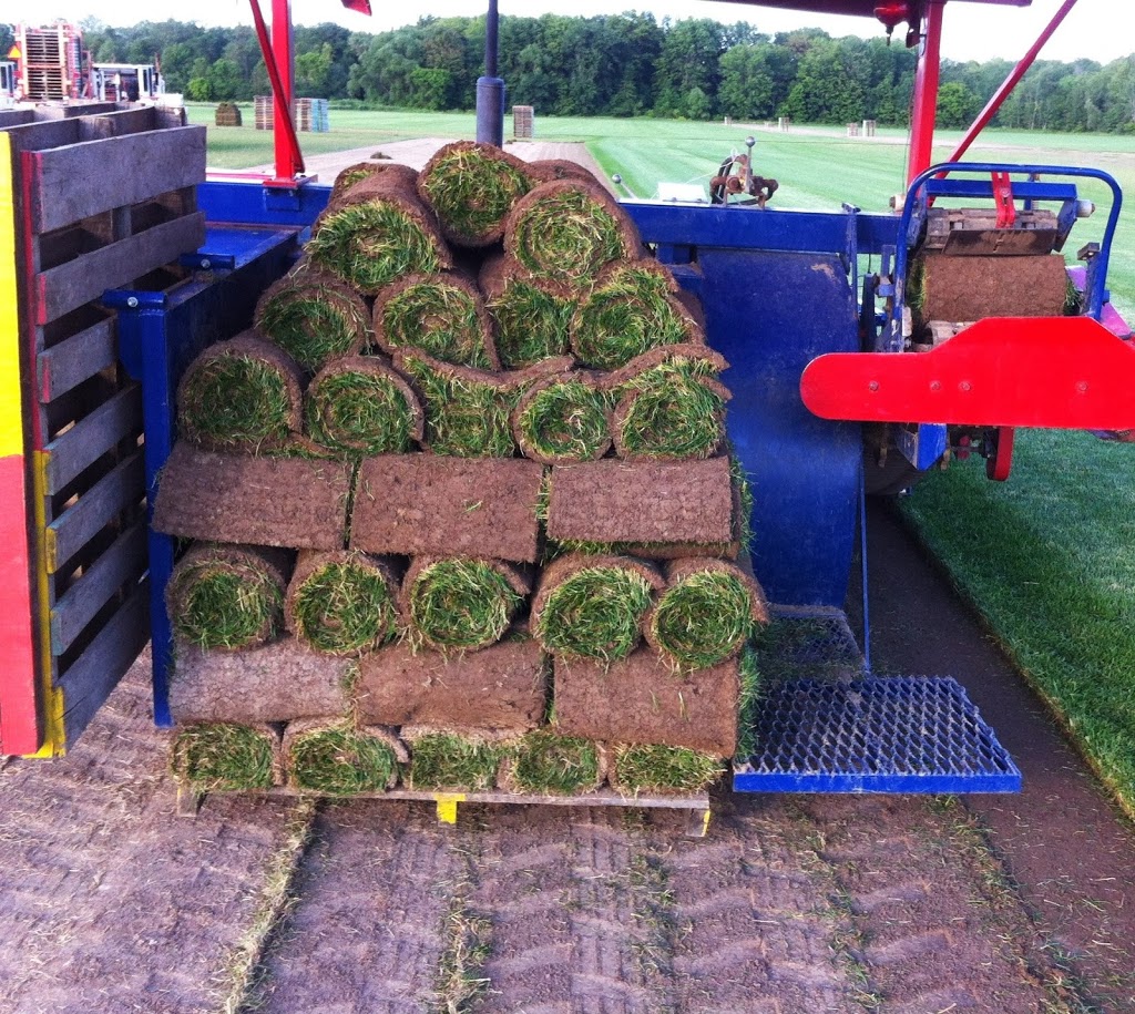 Smilsky Sod Farms Ltd. | 5628 5th Line, Tottenham, ON L0G 1W0, Canada | Phone: (705) 440-8577