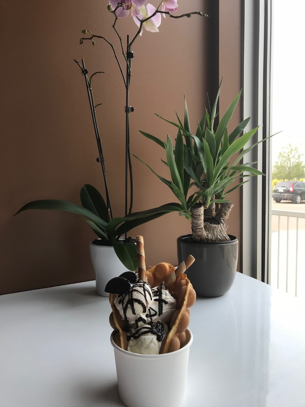 Raylas Bubble Tea Cafe | 111-412 Willowgrove Square, Saskatoon, SK S7W 0A7, Canada | Phone: (306) 952-4788