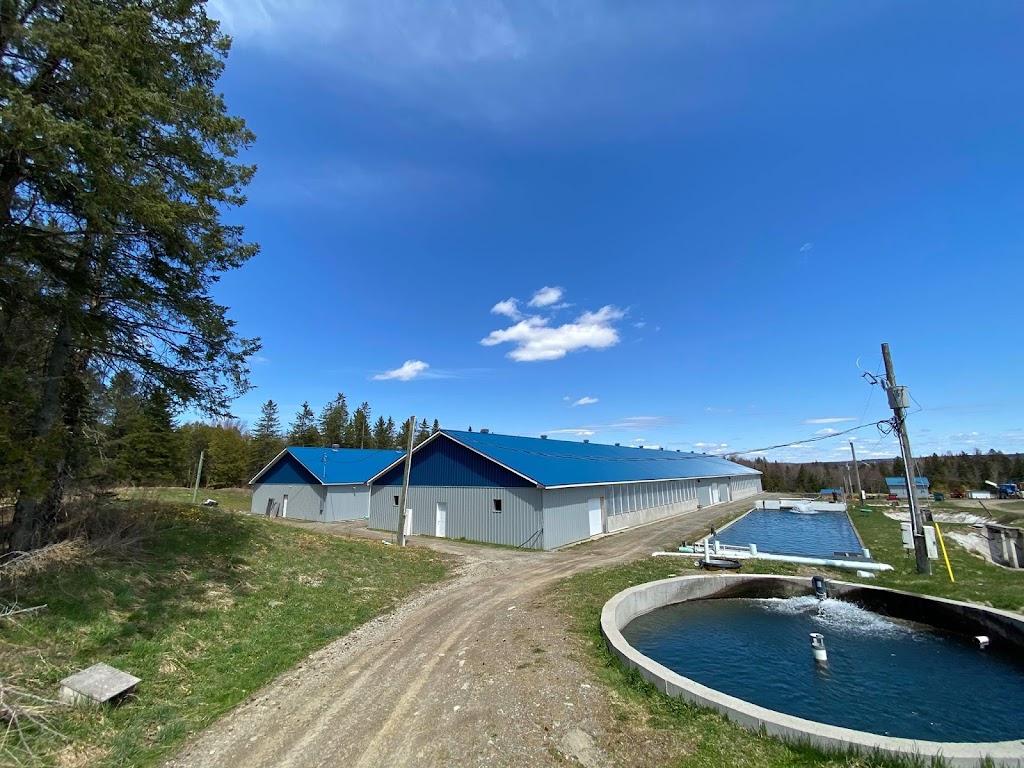 Pisciculture Gilbert | 3B QC-108, Lingwick, QC J0B 2Z0, Canada | Phone: (819) 877-2676