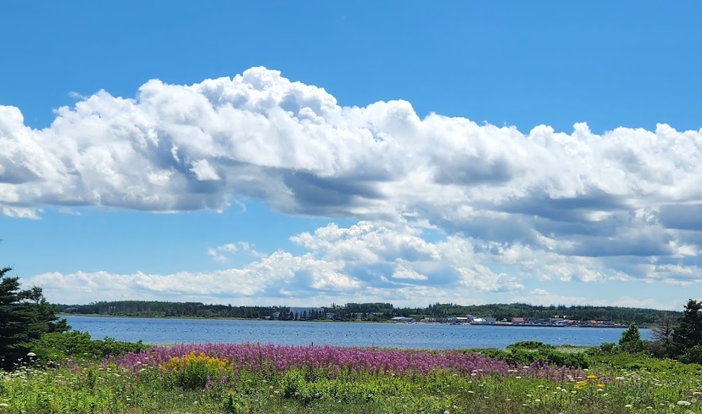 Greenwich, Prince Edward Island National Park | Greenwich Rd, Greenwich, PE C0A 2A0, Canada | Phone: (902) 672-6350